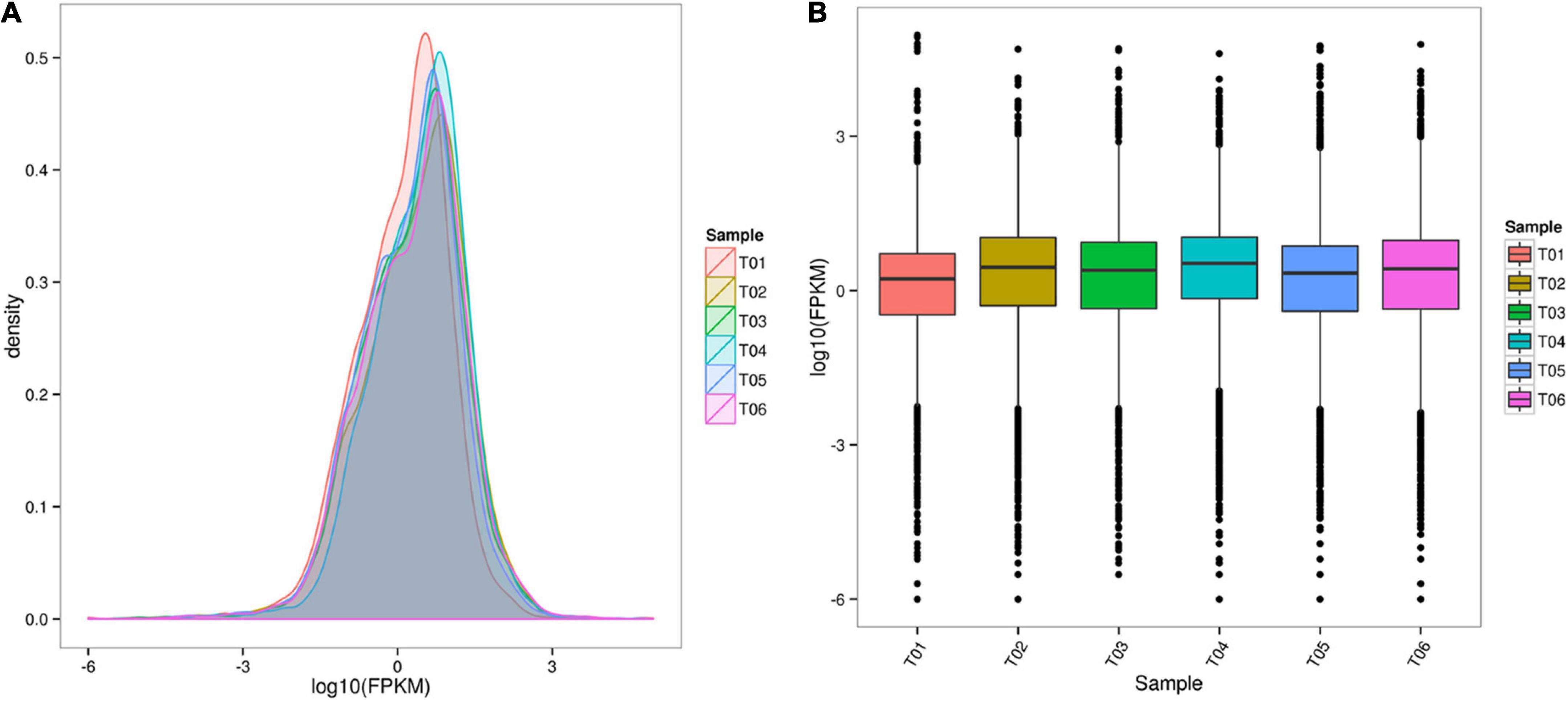 Comparative transcriptome analysis of adult worker bees under short-term heat stress